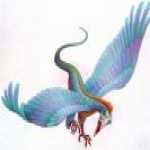 thumb_048 (Medium).jpg